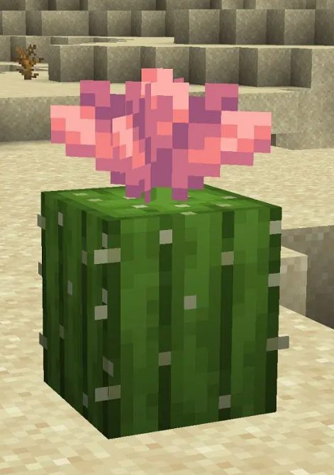 Minecraft Cactus Flower